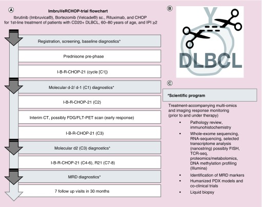 A Phase I/II first-line study of R-CHOP plus B-cell receptor/NF-κB-double-targeting to molecularly assess therapy response.