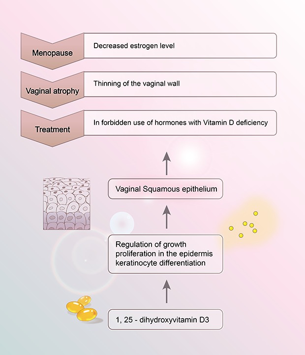 Effect of Vitamin D on the Vaginal Health of Menopausal Women: A Systematic Review.