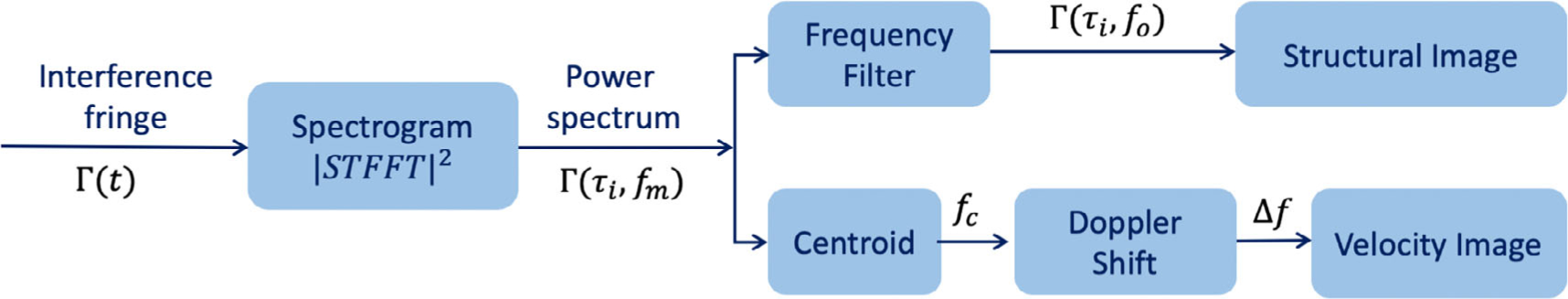 Advances in Doppler optical coherence tomography and angiography.