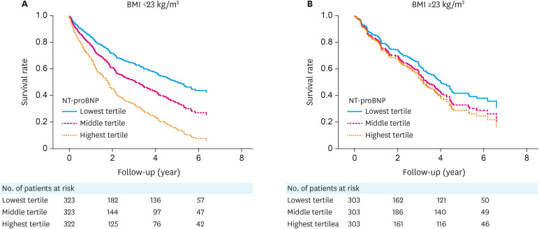 The Impact of Body Mass Index on the Prognostic Value of N-Terminal proB-Type Natriuretic Peptide in Patients with Heart Failure: an Analysis from the Korean Heart Failure (KorHF) Registry.