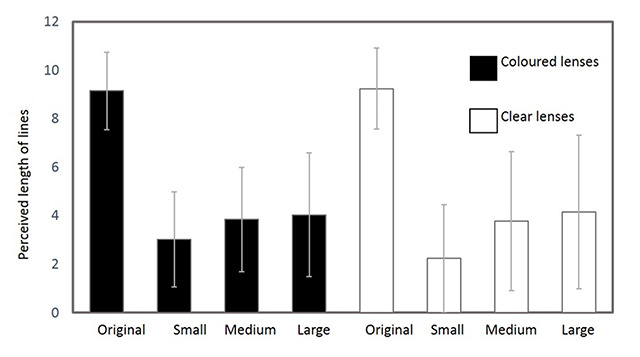 Could Modifying the Bagolini Glasses Improve the Reliability of Responses?