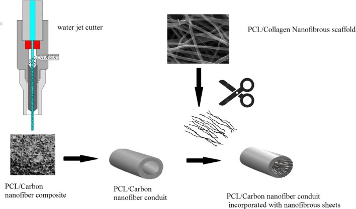 A novel polycaprolactone/carbon nanofiber composite as a conductive neural guidance channel: an in vitro and in vivo study.