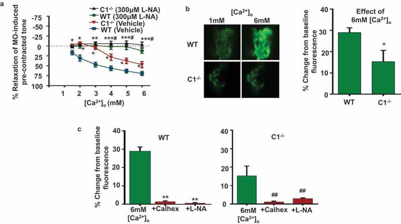 Heteromeric TRPV4/TRPC1 channels mediate calcium-sensing receptor-induced relaxations and nitric oxide production in mesenteric arteries: comparative study using wild-type and TRPC1<sup>-/-</sup> mice.