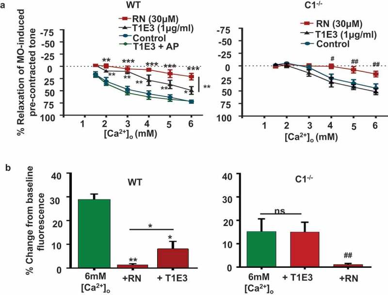 Heteromeric TRPV4/TRPC1 channels mediate calcium-sensing receptor-induced relaxations and nitric oxide production in mesenteric arteries: comparative study using wild-type and TRPC1<sup>-/-</sup> mice.