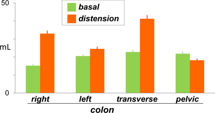 Abdominal distension after eating lettuce: The role of intestinal gas evaluated in vitro and by abdominal CT imaging.