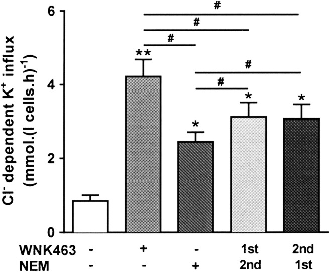 The role of WNK in modulation of KCl cotransport activity in red cells from normal individuals and patients with sickle cell anaemia.
