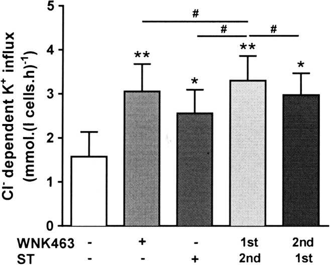 The role of WNK in modulation of KCl cotransport activity in red cells from normal individuals and patients with sickle cell anaemia.