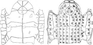 Cracking bones and numbers: solving the enigma of numerical sequences on ancient Chinese artifacts