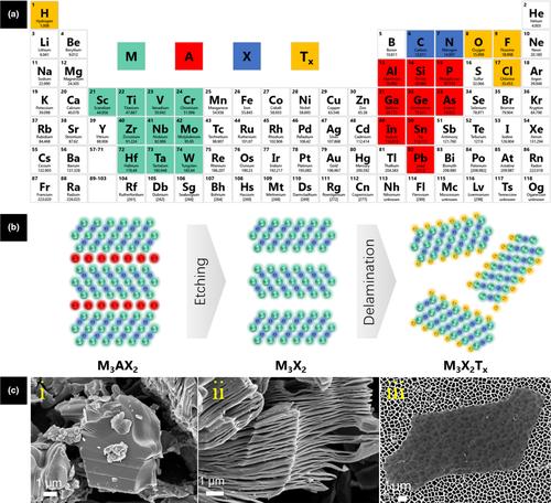 Two-Dimensional Transition Metal Carbides and Nitrides (MXenes ...