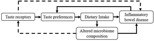 Interactions between taste receptors and the gastrointestinal microbiome in inflammatory bowel disease