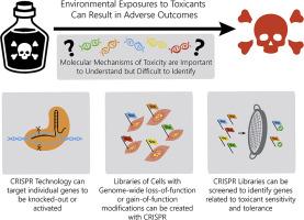 CRISPR genomic screening informs gene–environment interactions