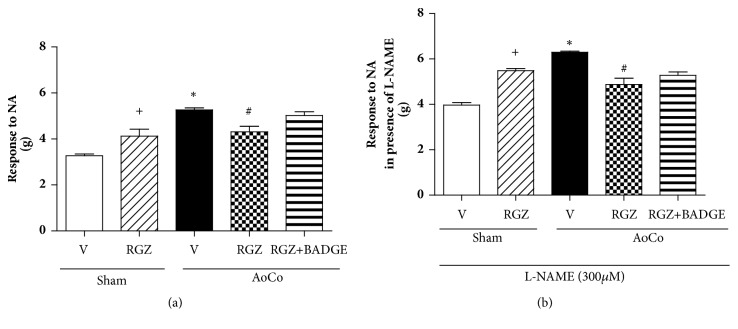 Rosiglitazone, a Ligand to PPAR<i>γ</i>, Improves Blood Pressure and Vascular Function through Renin-Angiotensin System Regulation.