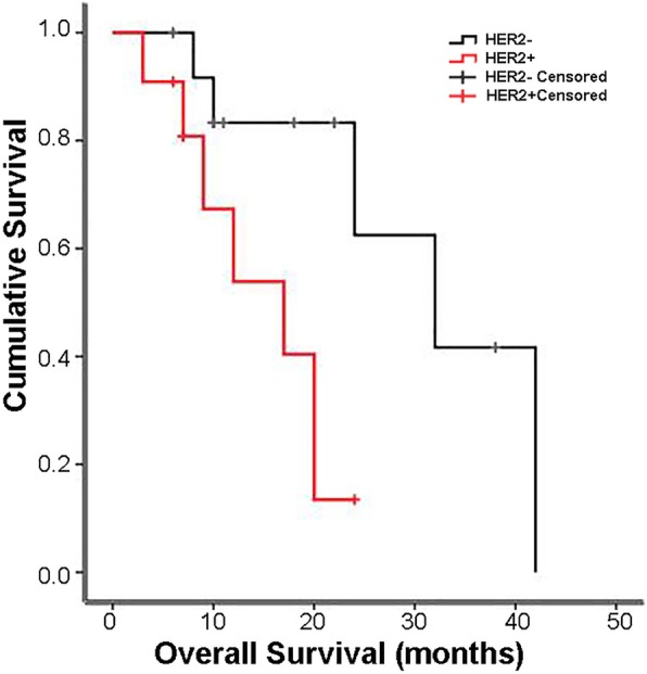 Clinical significance of HER2 and EGFR expression in colorectal cancer patients with ovarian metastasis.