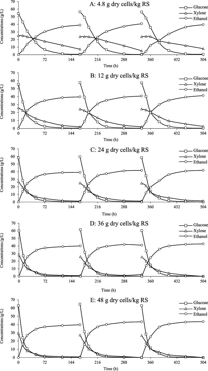 Reusable Floating Beads with Immobilized Xylose-Fermenting Yeast Cells for Simultaneous Saccharification and Fermentation of Lime-Pretreated Rice Straw.