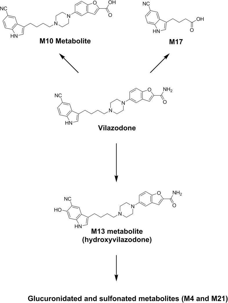 Accidental intoxications in toddlers: lack of cross-reactivity of vilazodone and its urinary metabolite M17 with drug of abuse screening immunoassays.