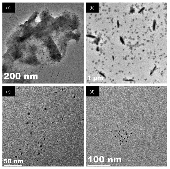 <i>Gnidia glauca</i>- and <i>Plumbago zeylanica</i>-Mediated Synthesis of Novel Copper Nanoparticles as Promising Antidiabetic Agents.