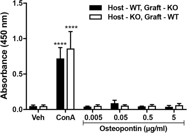 Normal inflammation and regeneration of muscle following injury require osteopontin from both muscle and non-muscle cells.