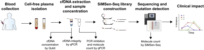 Considerations and quality controls when analyzing cell-free tumor DNA