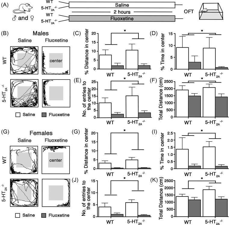 5-HT<sub>2A</sub> receptor loss does not alter acute fluoxetine-induced anxiety and exhibit sex-dependent regulation of cortical immediate early gene expression.