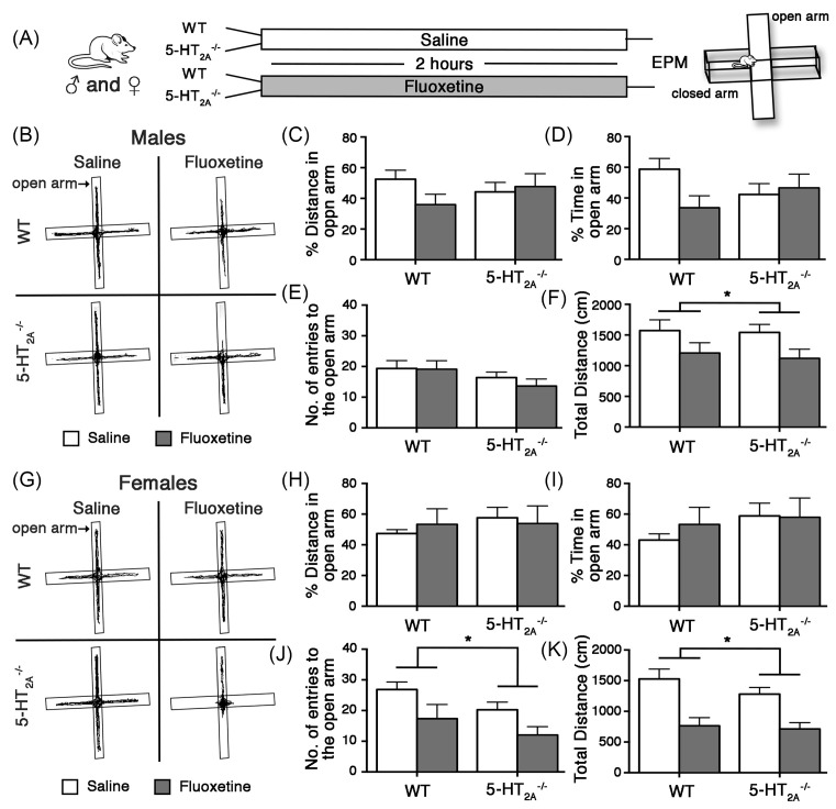 5-HT<sub>2A</sub> receptor loss does not alter acute fluoxetine-induced anxiety and exhibit sex-dependent regulation of cortical immediate early gene expression.