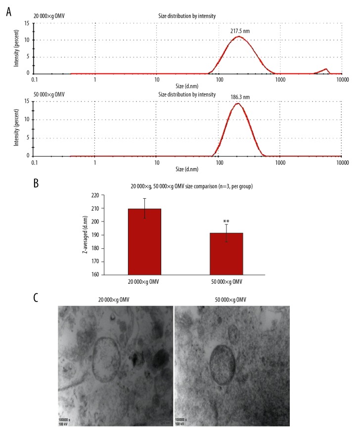 Escherichia Coli Outer Membrane Vesicles Induced DNA Double-Strand Breaks in Intestinal Epithelial Caco-2 Cells.