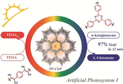 Fully Conjugated Two-Dimensional sp2-Carbon Covalent Organic Frameworks as Artificial Photosystem I with High Efficiency