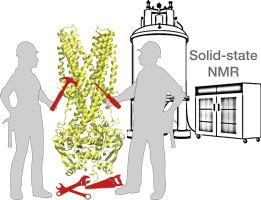 Protein sample preparation for solid-state NMR investigations