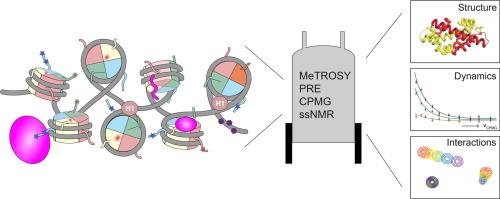 Unspinning chromatin: Revealing the dynamic nucleosome landscape by NMR