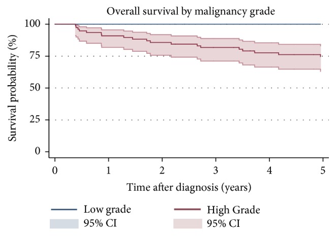 Soft Tissue Sarcomas of the Thoracic Wall: More Prone to Higher Mortality, and Local Recurrence-A Single Institution Long-Term Follow-up Study.