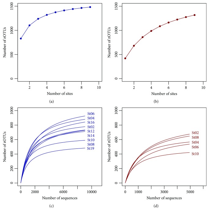 Primary Production in the Water Column as Major Structuring Element of the Biogeographical Distribution and Function of Archaea in Deep-Sea Sediments of the Central Pacific Ocean.