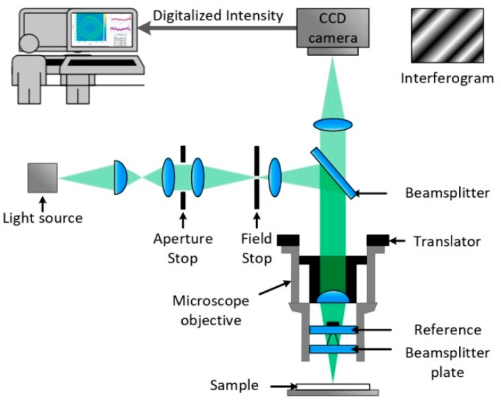 Vertical Scanning Interferometry for Label-Free Detection of Peptide-Antibody Interactions.