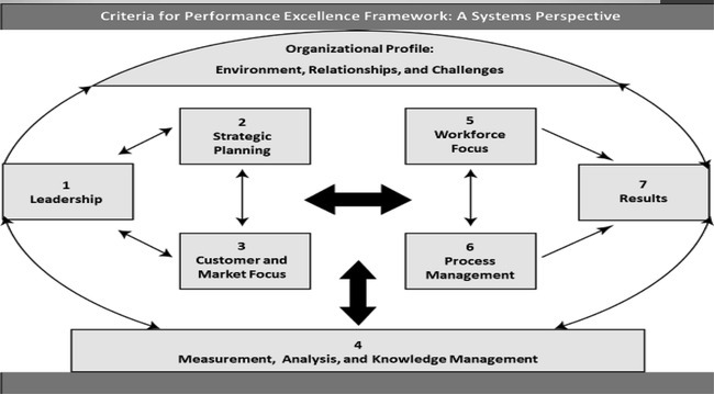 Choosing Stones, Moving Mountains: Performance Excellence, Primary Prevention, and Culture Change in a State Health Department.