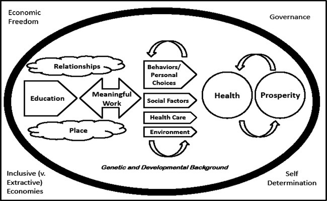 Choosing Stones, Moving Mountains: Performance Excellence, Primary Prevention, and Culture Change in a State Health Department.