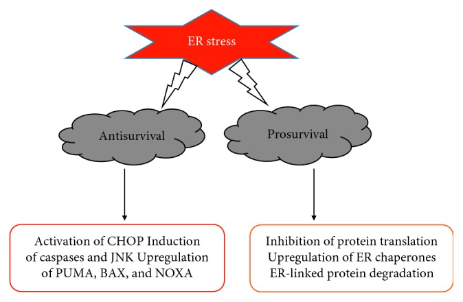 GRP78/BIP/HSPA5 as a Therapeutic Target in Models of Parkinson's Disease: A Mini Review.