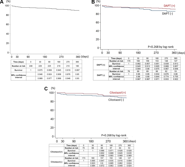 Antithrombotic therapy after femoropopliteal artery stenting: 12-month results from Japan Postmarketing Surveillance.