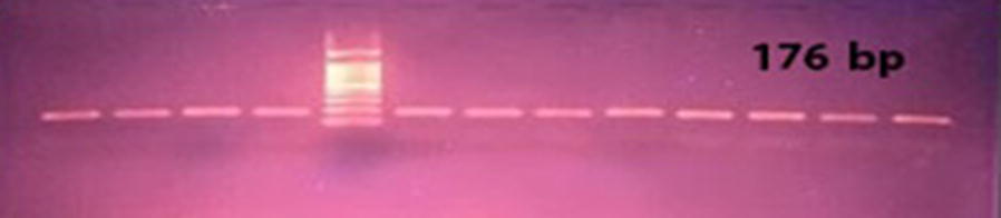 Abstract Image
