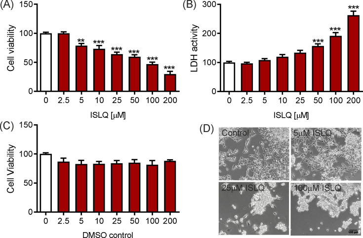 The dietary flavonoid isoliquiritigenin is a potent cytotoxin for human neuroblastoma cells.