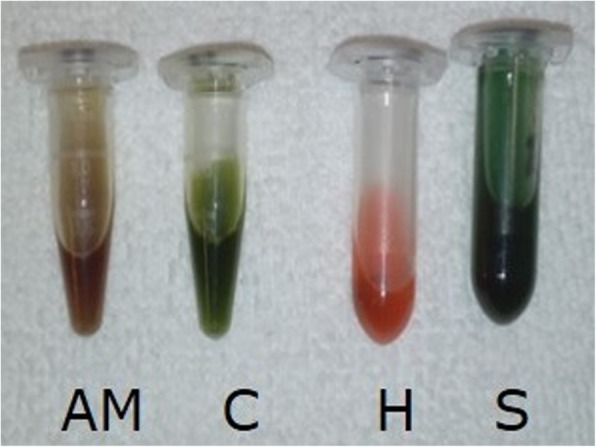 Transcriptional response of cultured porcine intestinal epithelial cells to micro algae extracts in the presence and absence of enterotoxigenic <i>Escherichia coli</i>.