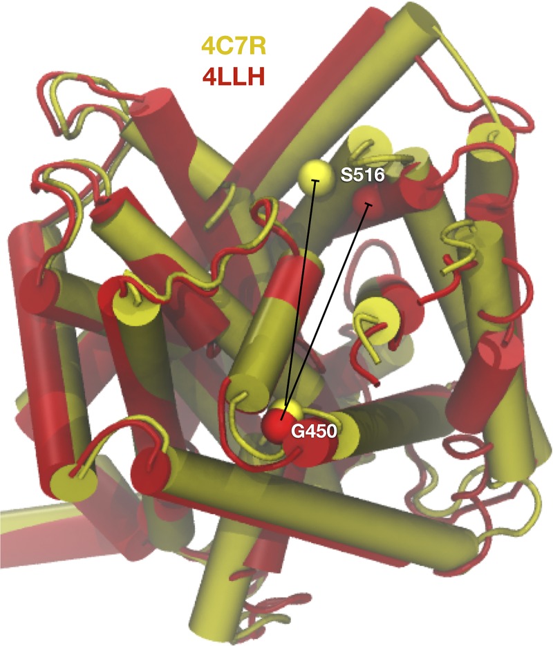 Interrogating the conformational dynamics of BetP transport.