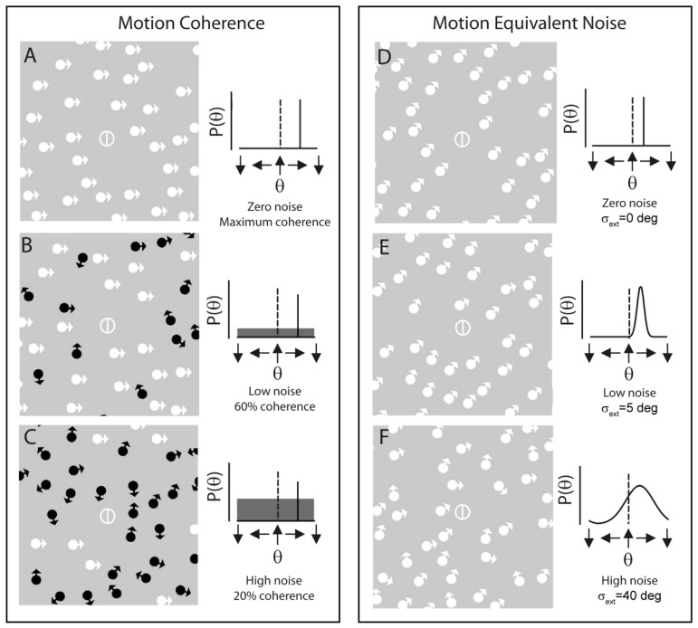 A Review of Motion and Orientation Processing in Migraine.