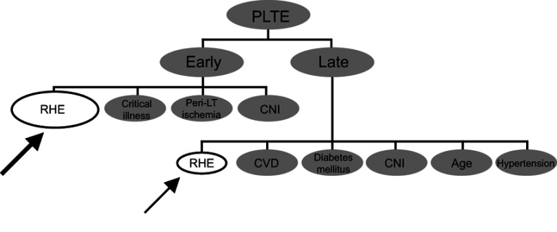 Cognitive impairment after liver transplantation: residual hepatic encephalopathy or posttransplant encephalopathy?