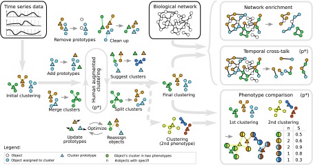 Time-Resolved Systems Medicine Reveals Viral Infection-Modulating Host Targets.