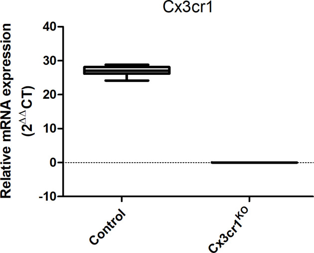 A role for the orphan nuclear receptor TLX in the interaction between neural precursor cells and microglia.