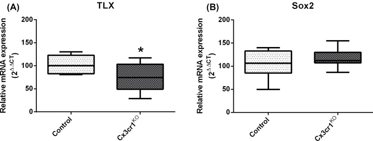 A role for the orphan nuclear receptor TLX in the interaction between neural precursor cells and microglia.