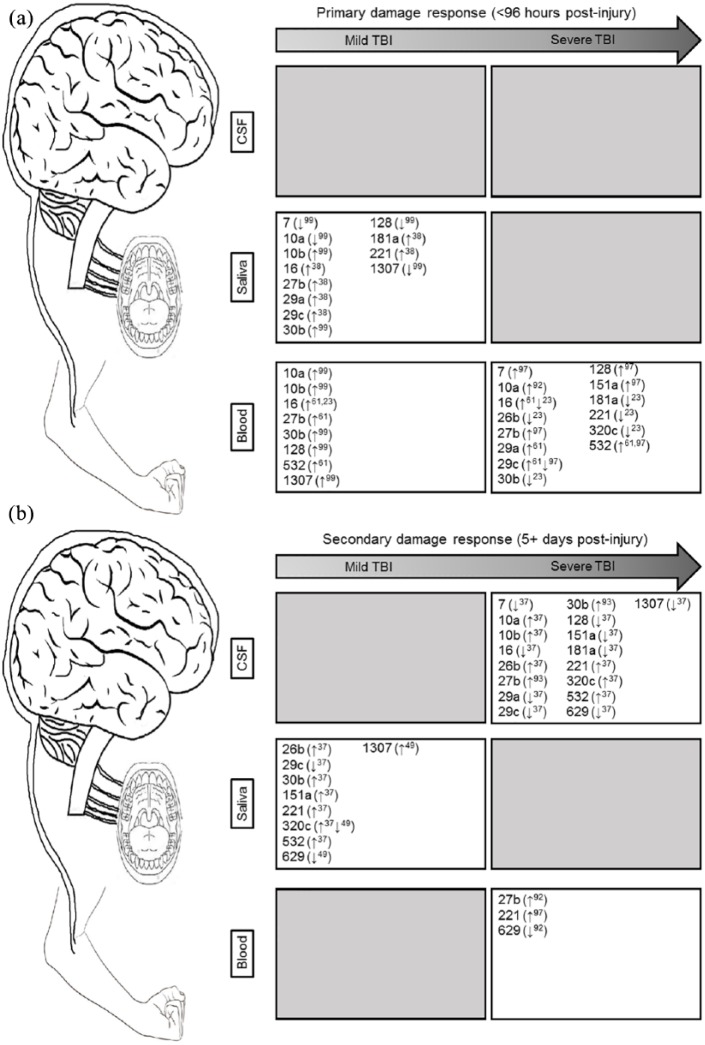 A Review of MicroRNA Biomarkers in Traumatic Brain Injury.