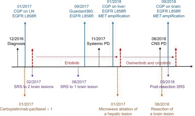 Differential response to a combination of full-dose osimertinib and crizotinib in a patient with <i>EGFR</i>-mutant non-small cell lung cancer and emergent <i>MET</i> amplification.