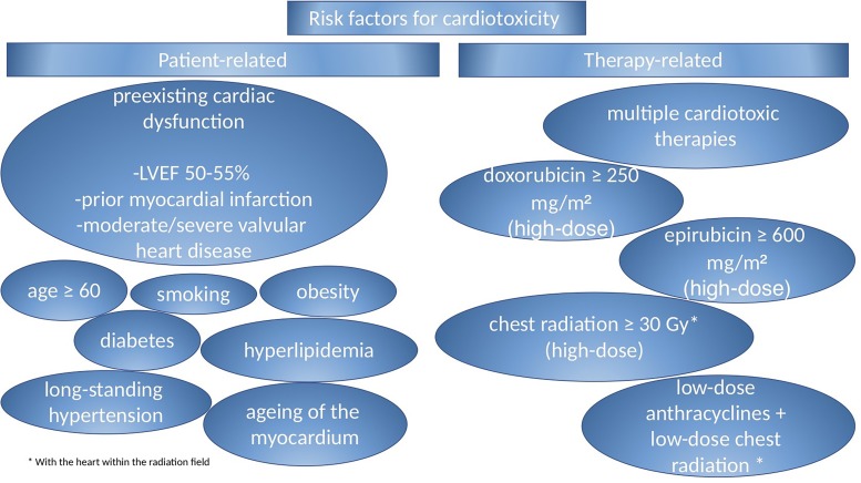 Therapy-induced cardiotoxicity in breast cancer patients: a well-known yet unresolved problem.