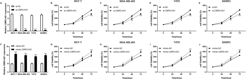 Upregulation of the long non-coding RNA CBR3-AS1 predicts tumor prognosis and contributes to breast cancer progression.