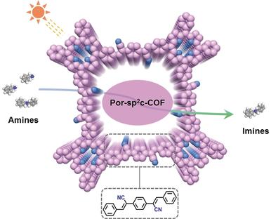 Designed Synthesis of a 2D Porphyrin-Based sp2 Carbon-Conjugated Covalent Organic Framework for Heterogeneous Photocatalysis