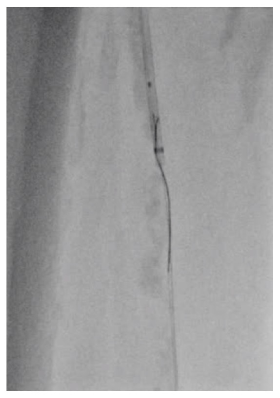 Abstract Image